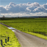 landschap met weg_indexafbeelding landschap met weg_indexafbeelding
